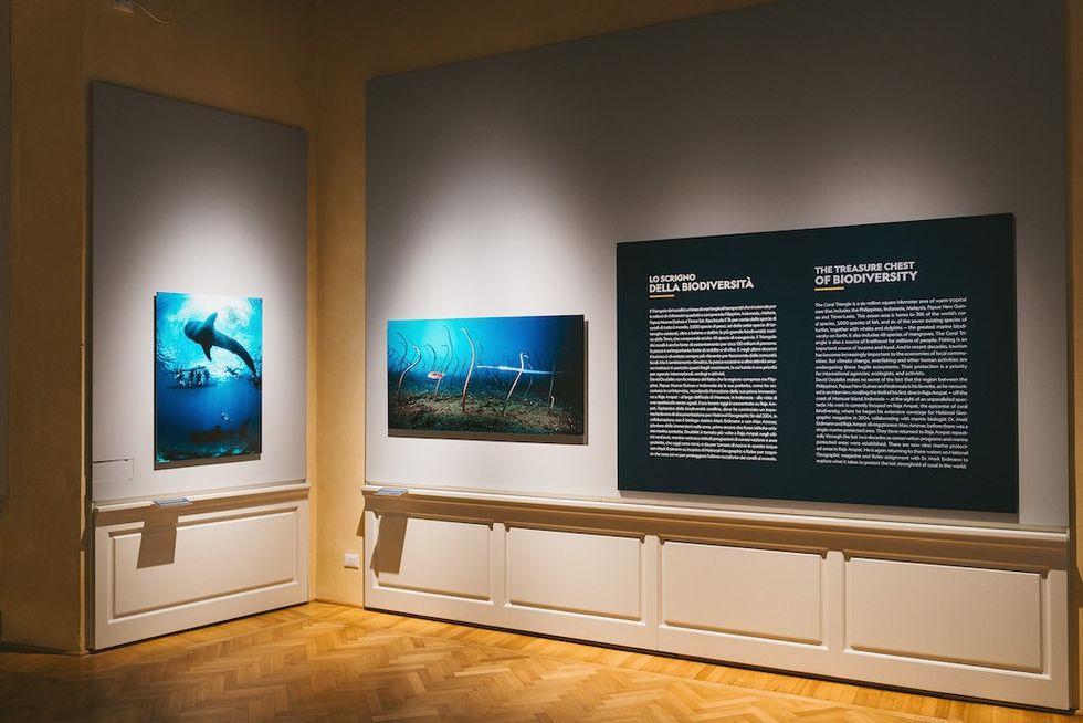 Art gallery corner display with underwater photography and text panels on biodiversity.