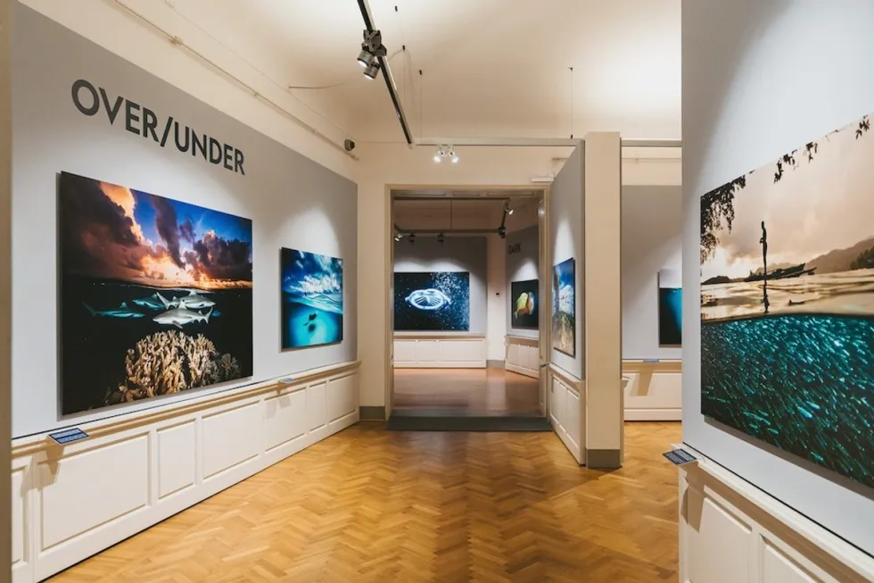 Art gallery with "OVER/UNDER" theme showcasing David Doublet's Oceans photography