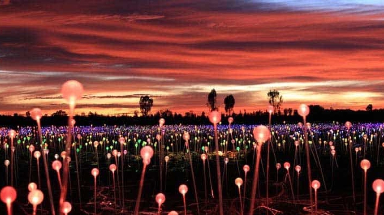 Artainment: Bruce Munro: Field of Light at Sensorio