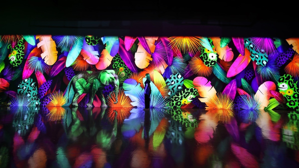ARTE Museum Jungle D'strict