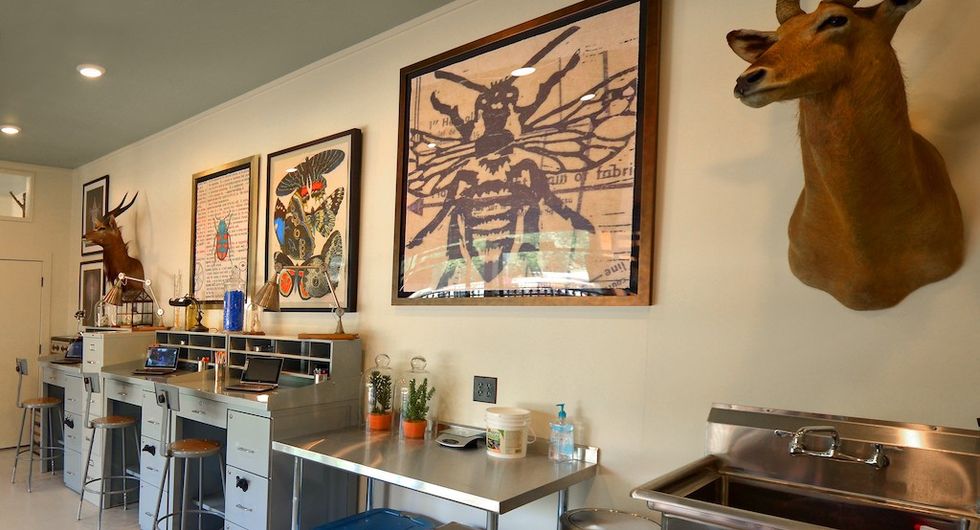 Asbury Discovery Center