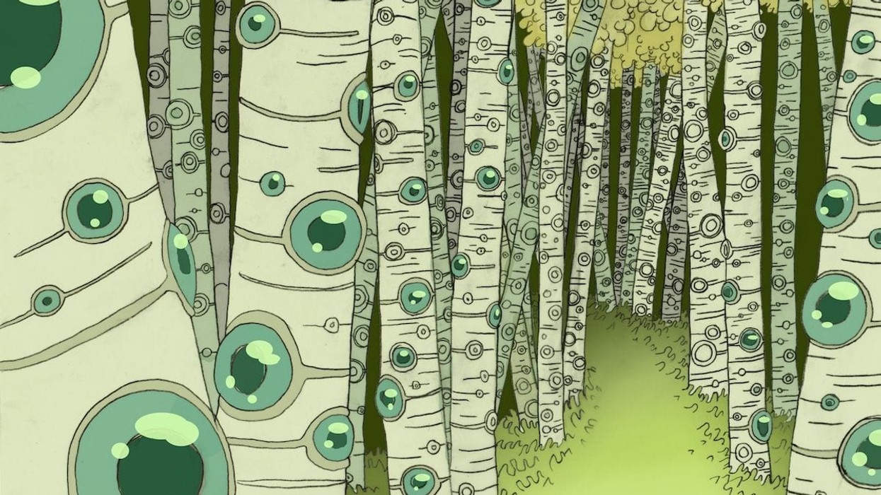 Aspen-Eye-Forest-concept-art-by-Caity-Kennedy