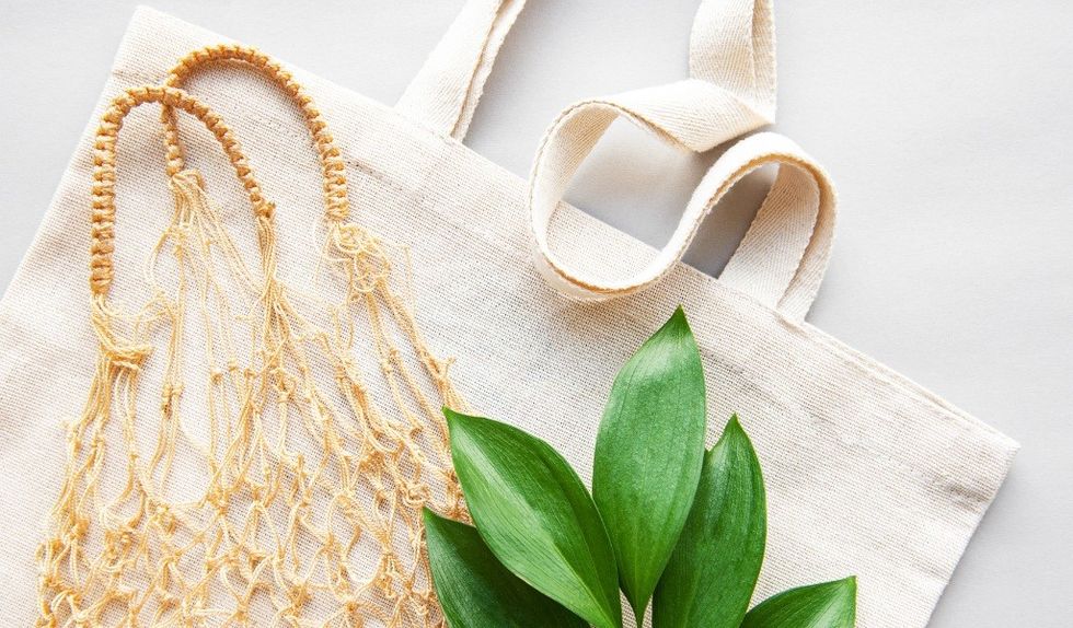 Association for Cultural Enterprises Museum Seeds of Change products