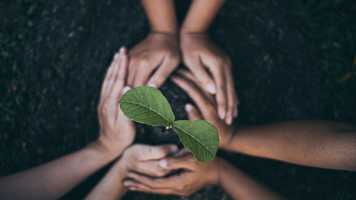 Association for Cultural Enterprises Seeds of Change