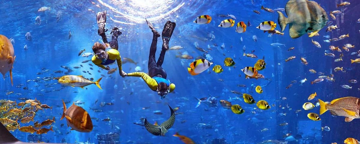 atlantis dubai