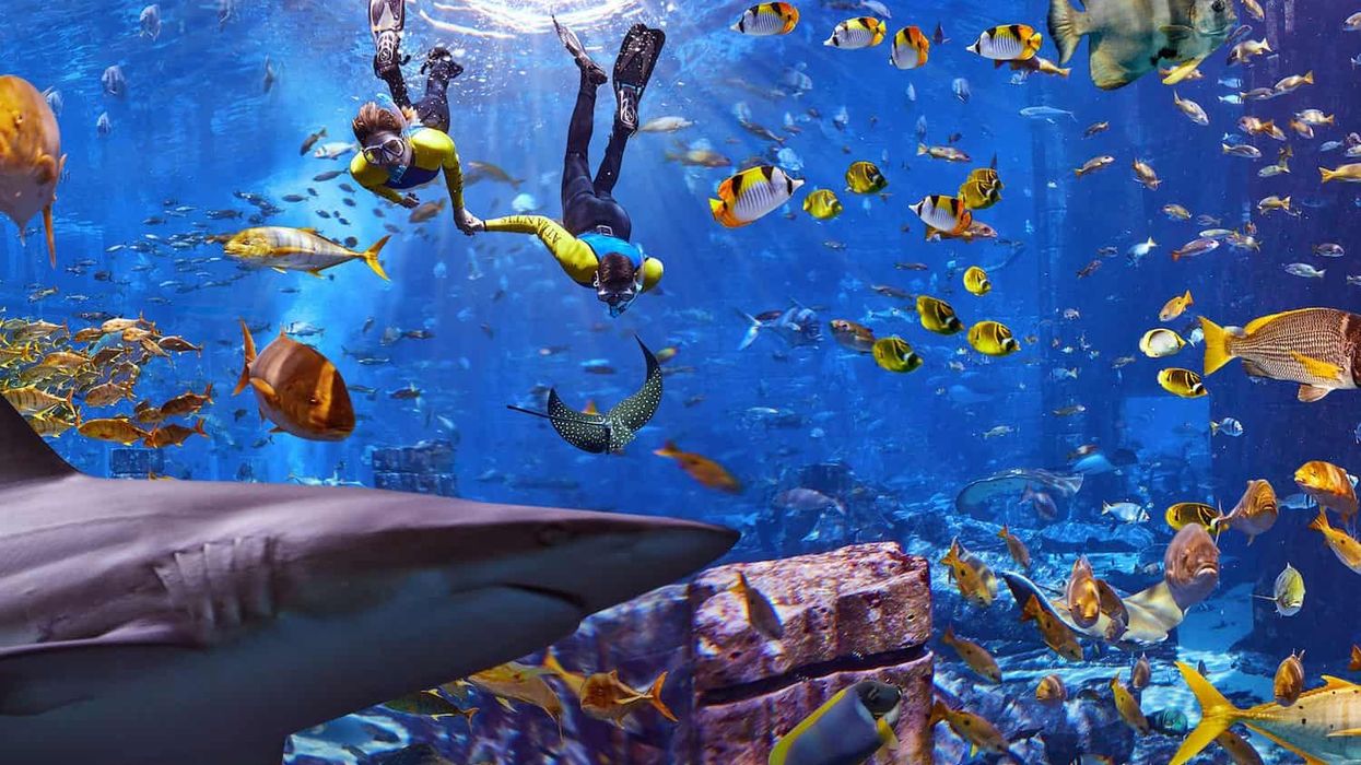atlantis dubai
