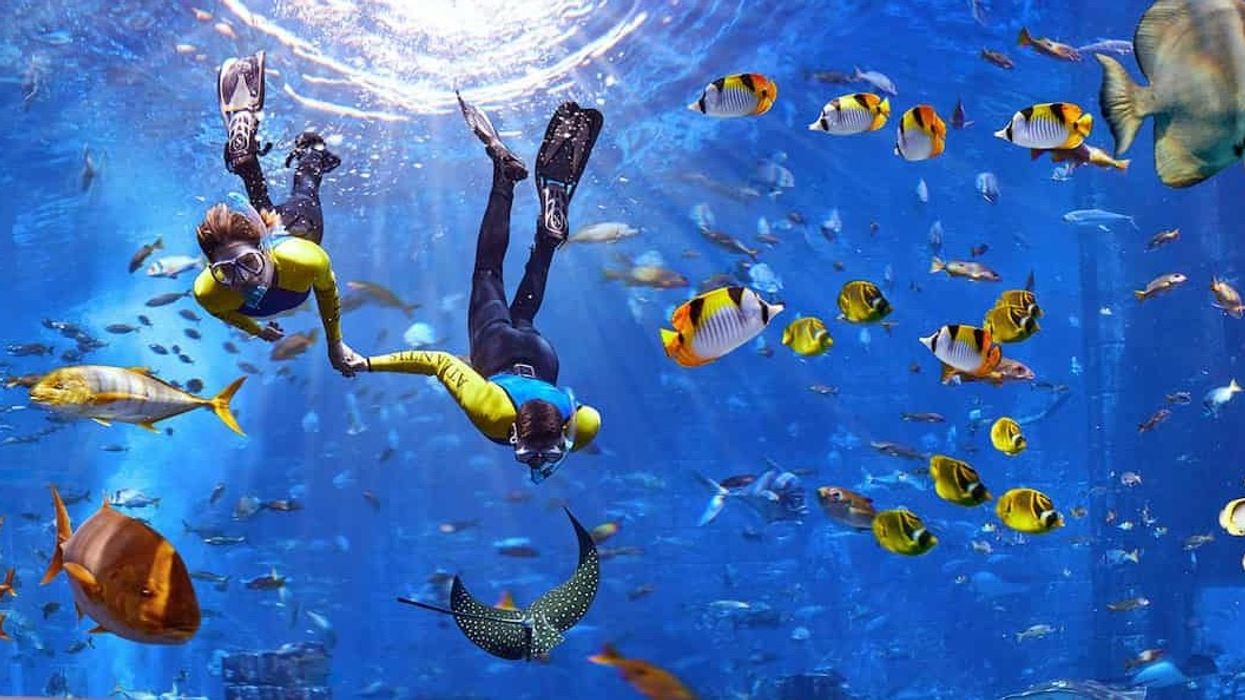 atlantis dubai