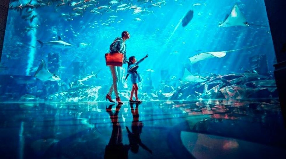 Atlantis Sanya Lost Chambers aquarium