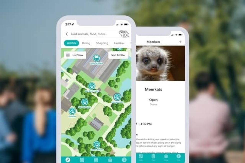 Attractions.io Chester Zoo mobile app map Festival of Innovation