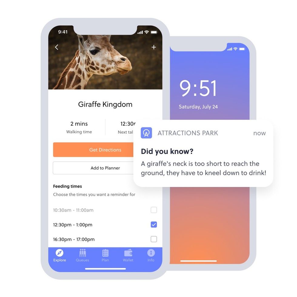 attractions.io giraffe