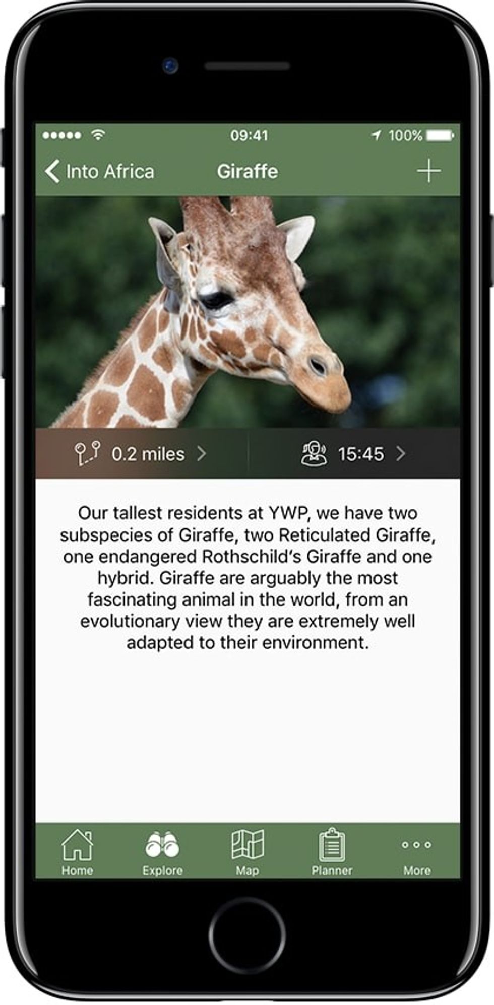 Attractions.io mobile app boosts engagement at Yorkshire Wildlife Park