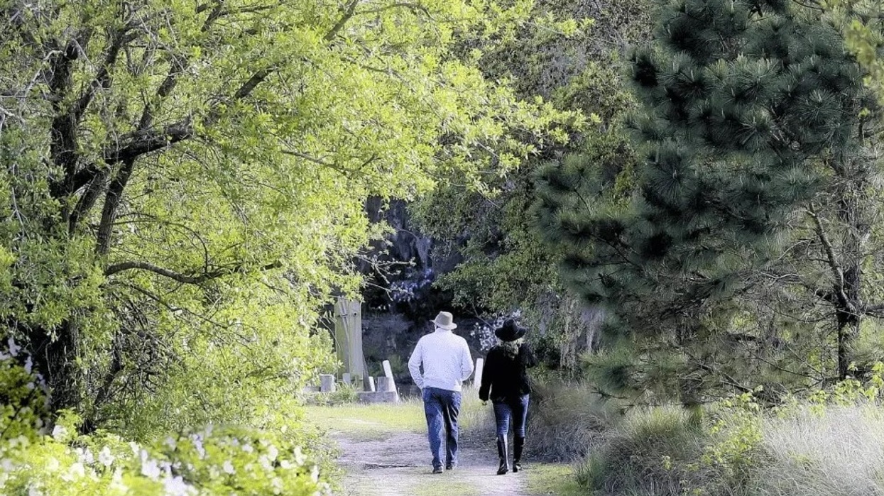 Attractions.io partners Magnolia Plantation & Gardens