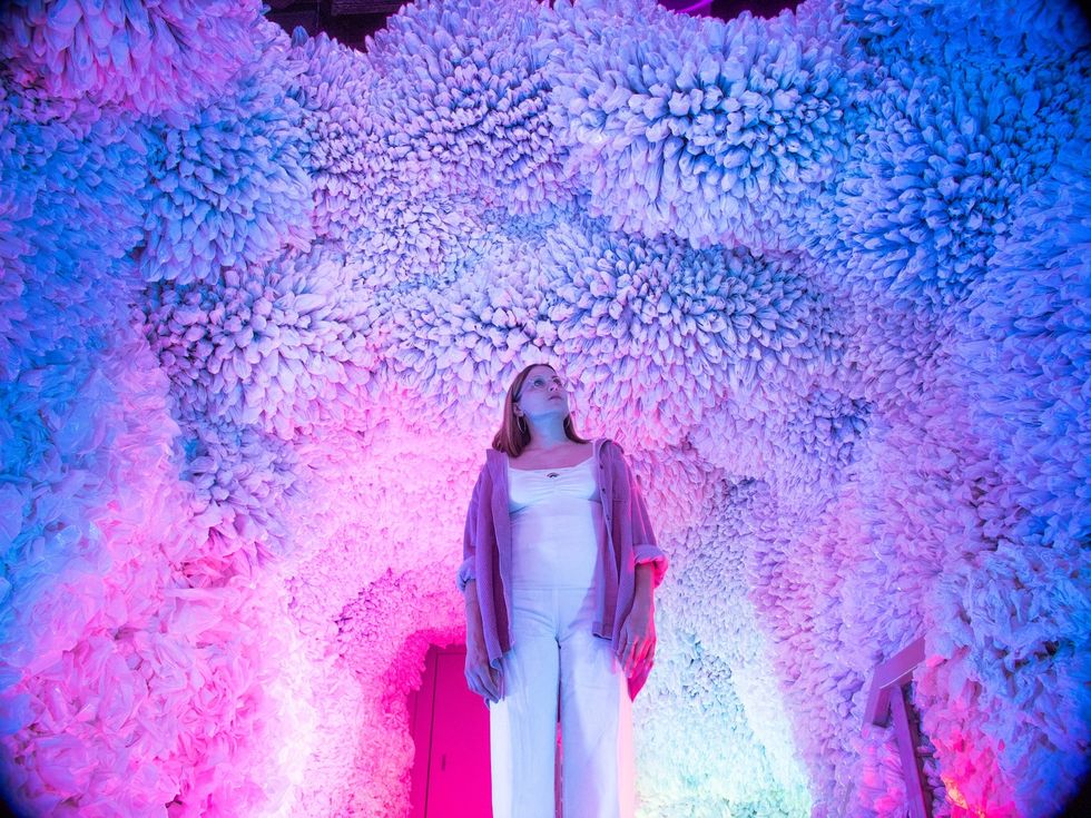 attractions trends 2022 arcadia earth