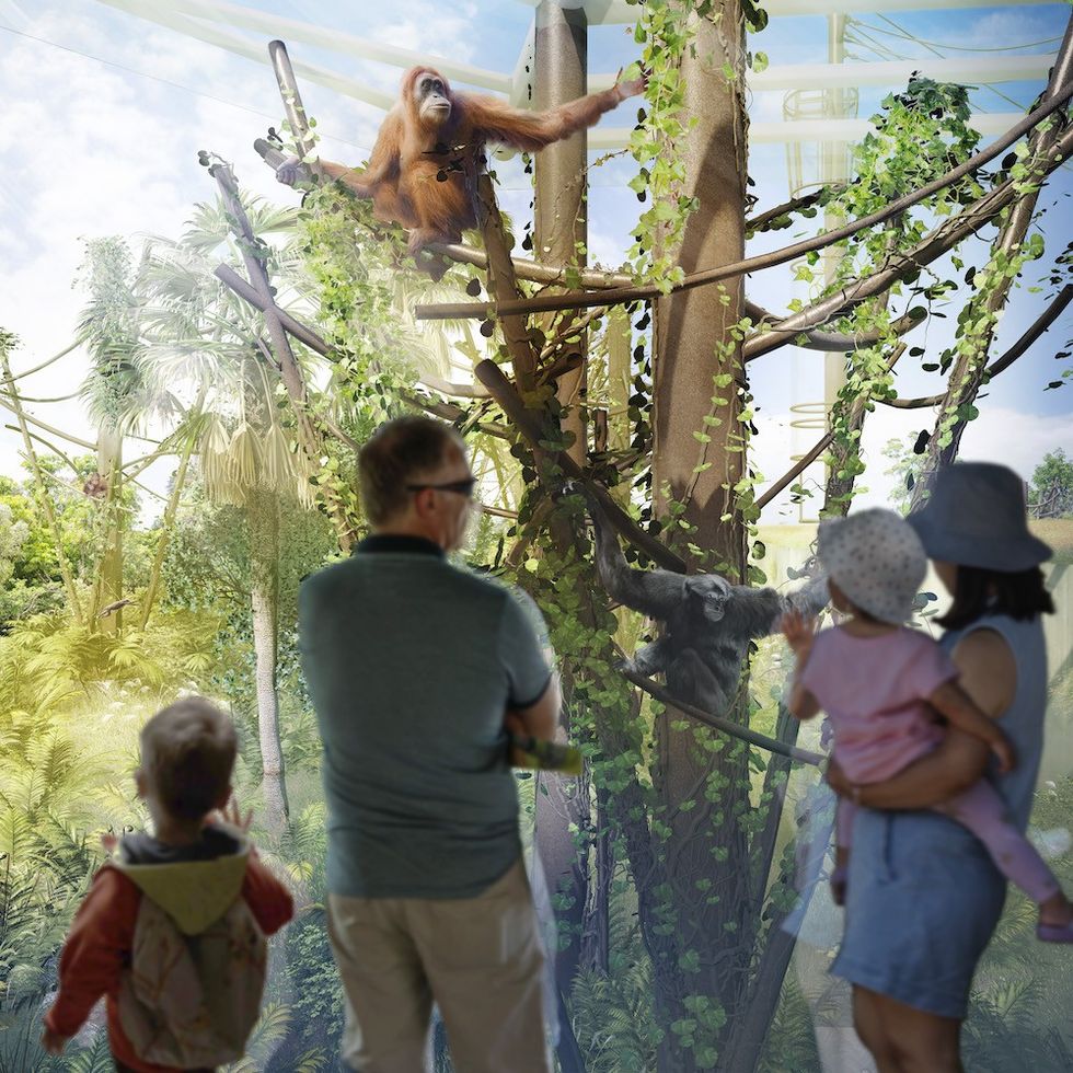 Auckland Zoo canopy