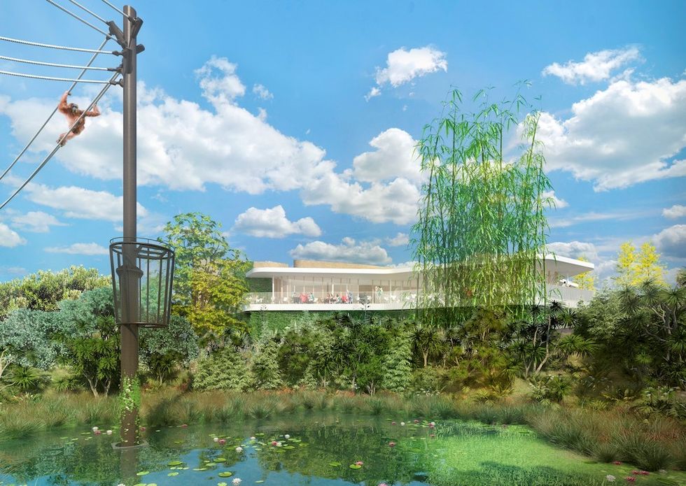Auckland Zoo new cafe