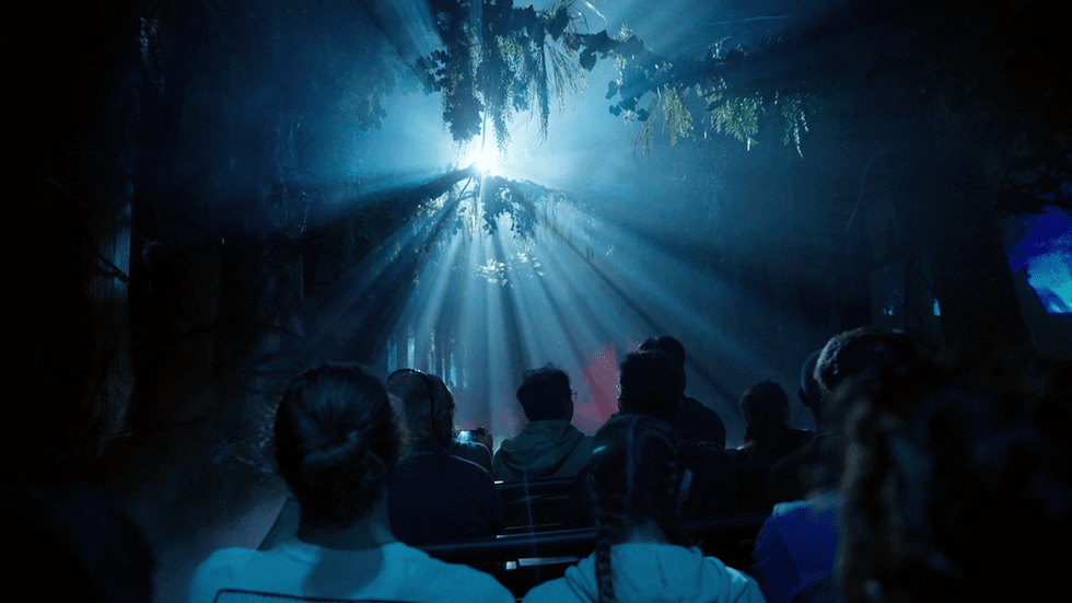 Audience in dark theater, beams of light shining through foliage above.