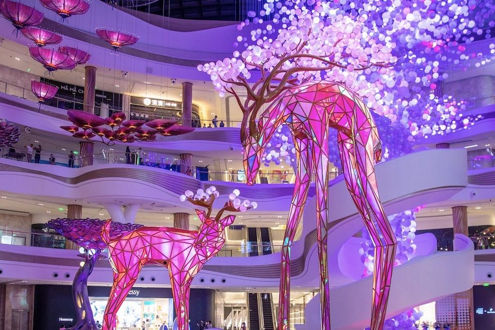 Aura- Forest at the Edge of the Sky