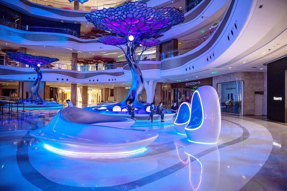 Aura: The Forest at the Edge of the Sky