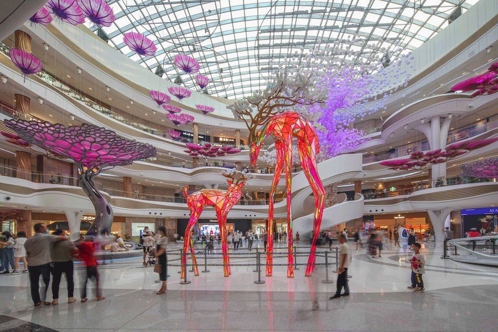 Aura: The Forest at the Edge of the Sky