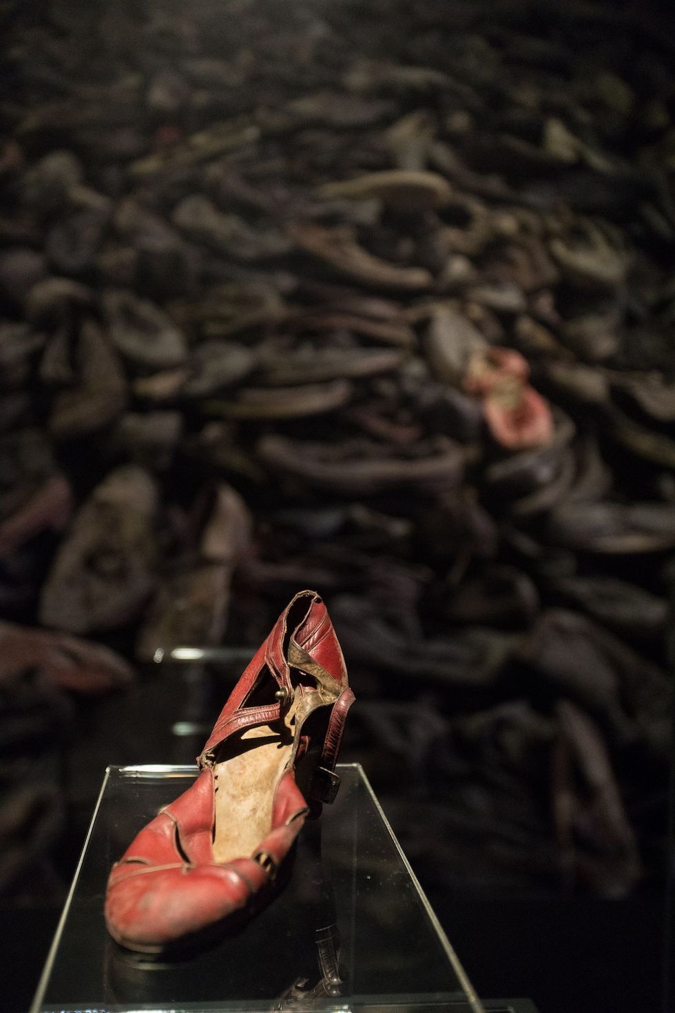 Auschwitz. Not Long Ago. Not Far Away - Exhibition interior - shoe - © Musealia