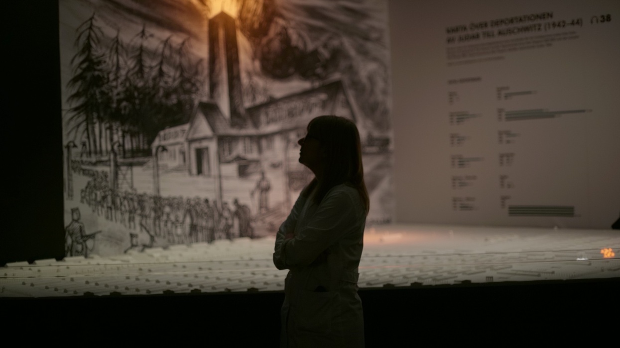 Auschwitz. Not Long Ago. Not Far Away - Exhibition visitor