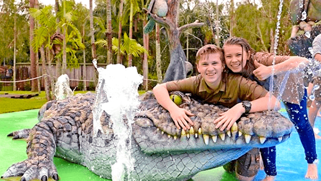 Australia zoo's new zoo plans include accommodation