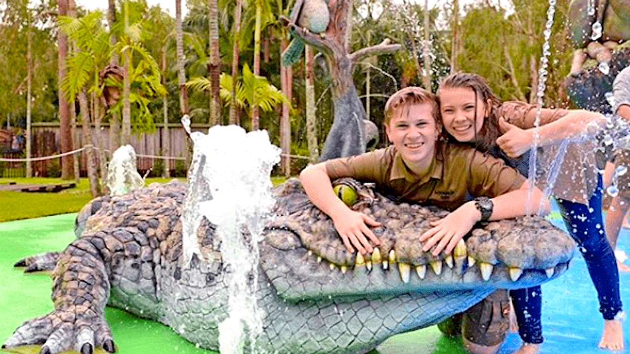 Australia zoo's new zoo plans include accommodation