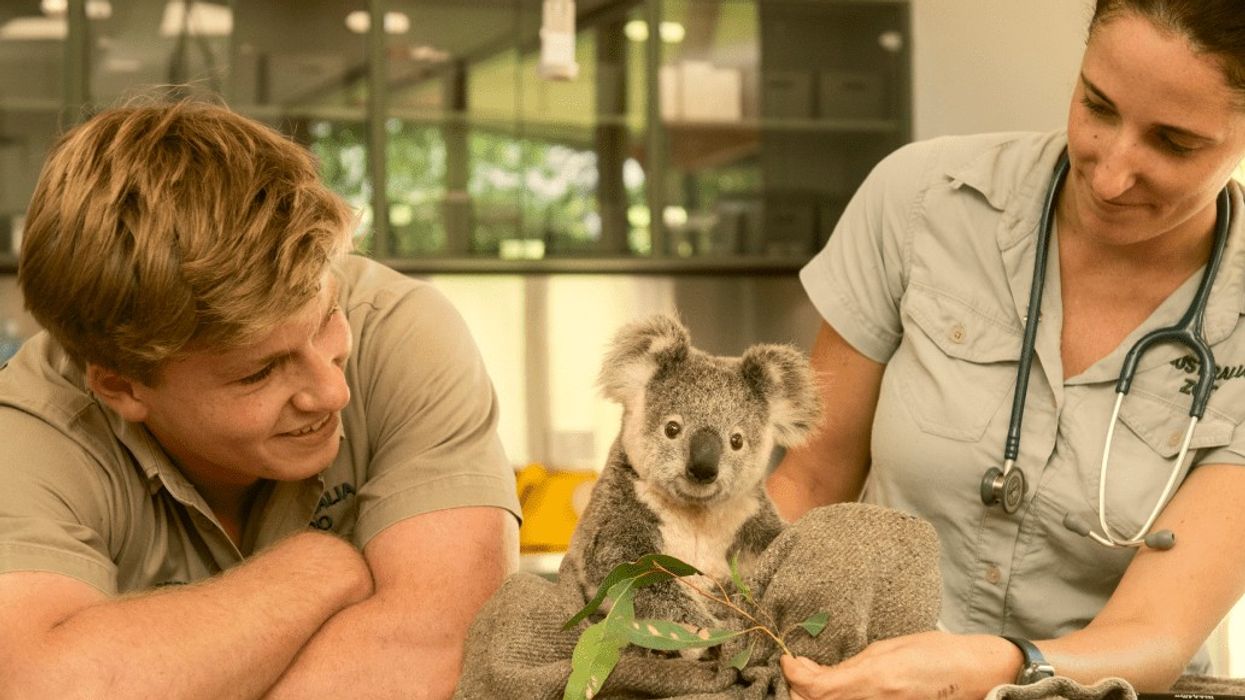 australia zoo