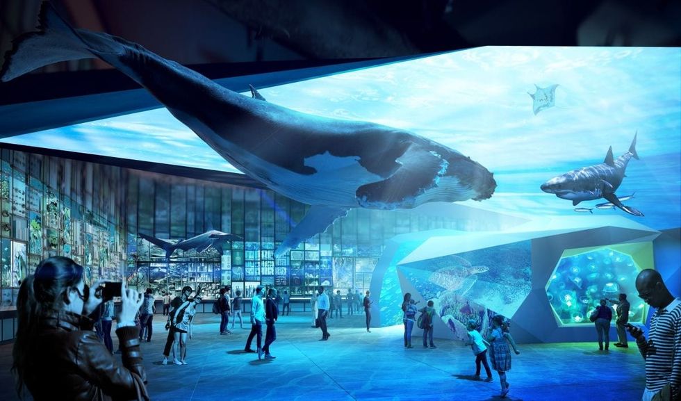 Australian Museum Oceans