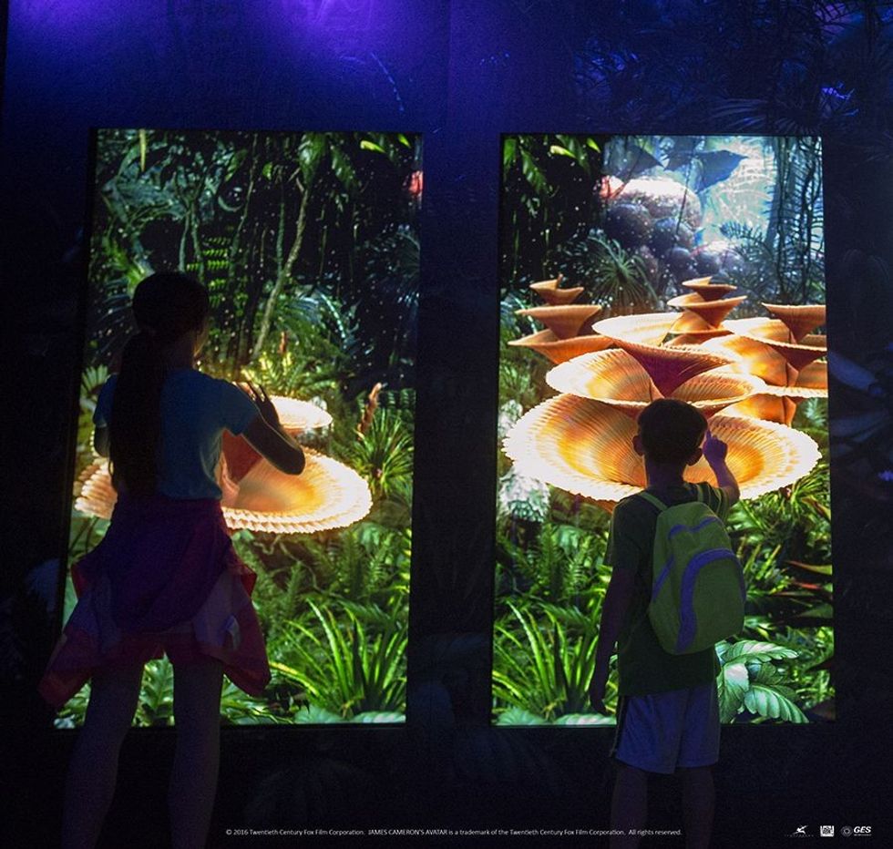 Avatar discover Pandora Exhibtion