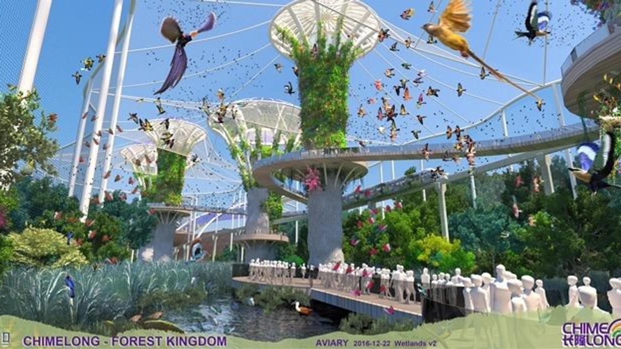 aviary Qingyuan Chimelong International Forest Resort