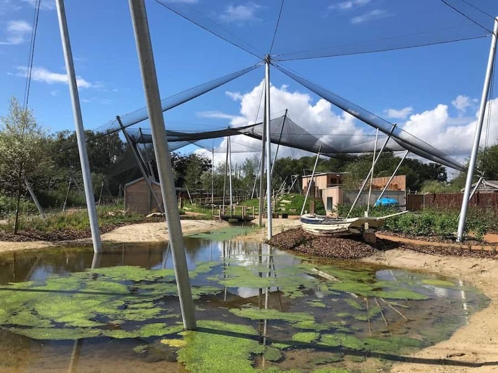 aviary walk Kay Elliott WWT Slimbridge