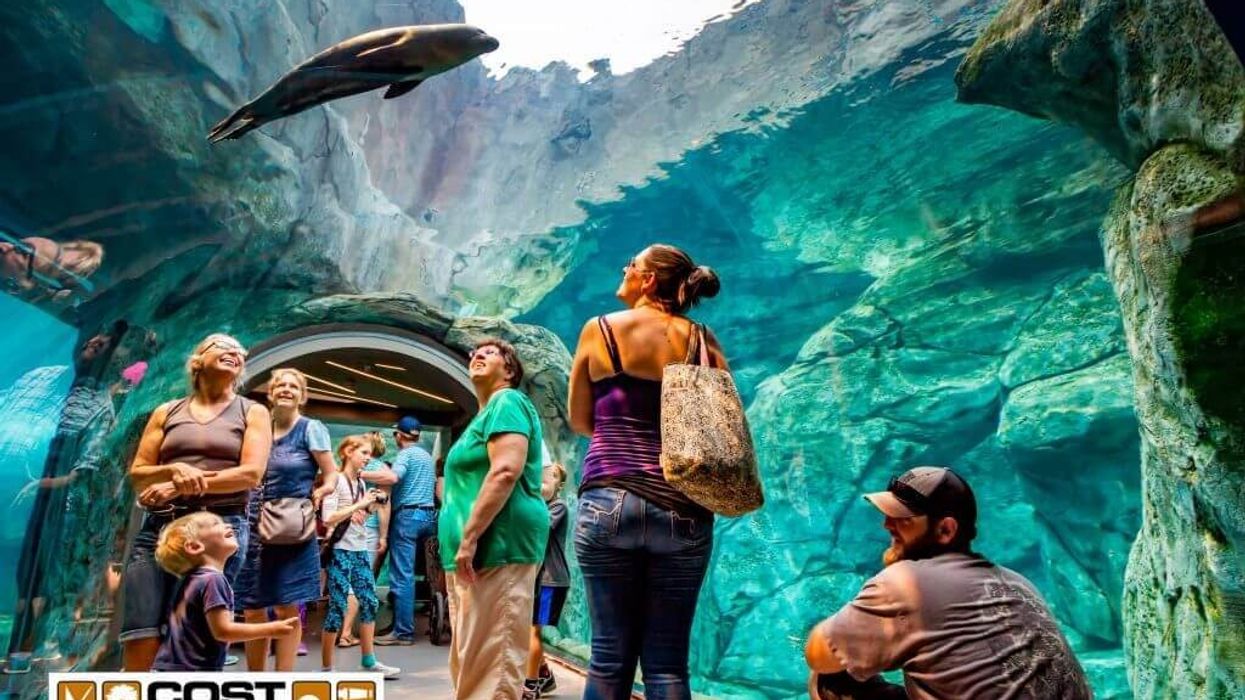 Award-Winning Theming Company COST of Wisconsin Celebrates 60 Landmark Years
