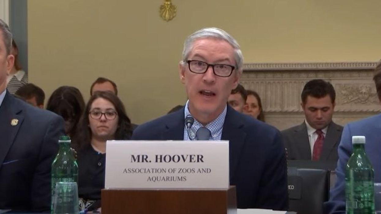 AZA Hoover testifies