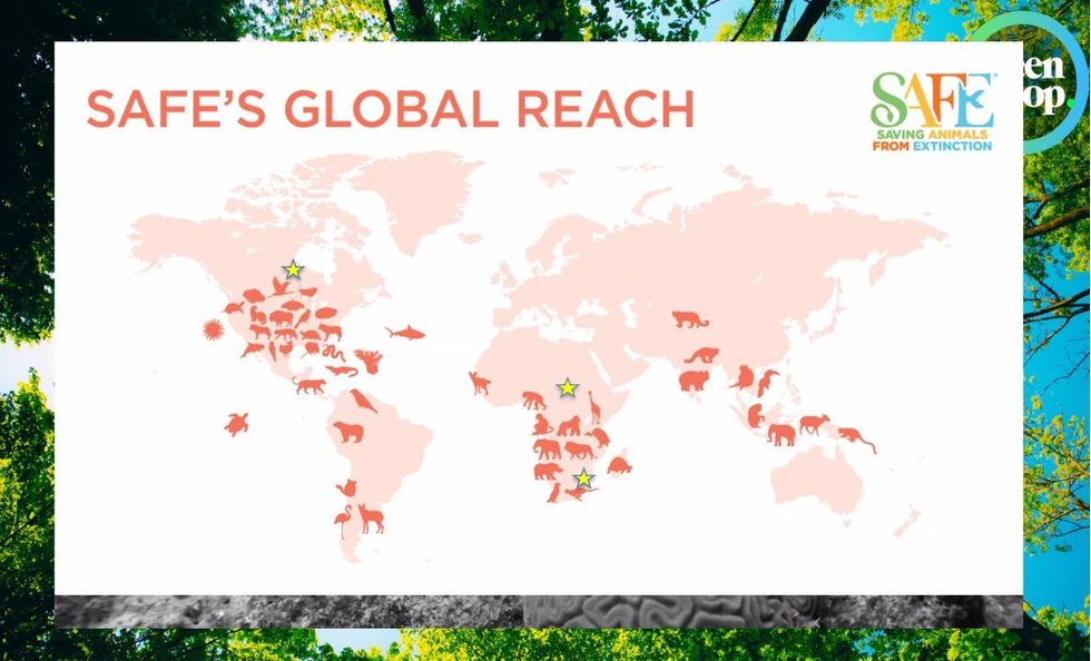 AZA Safe global reach