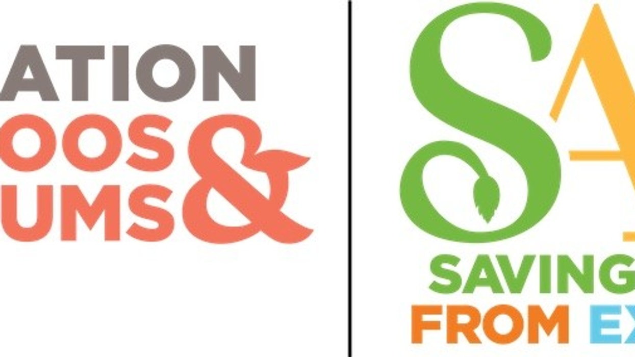 AZA_SAFE logo