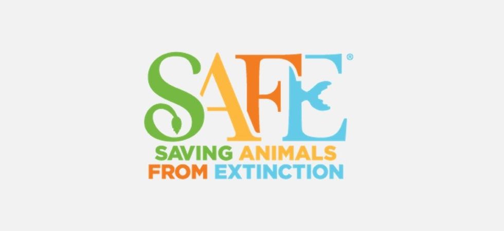 AZA Safe