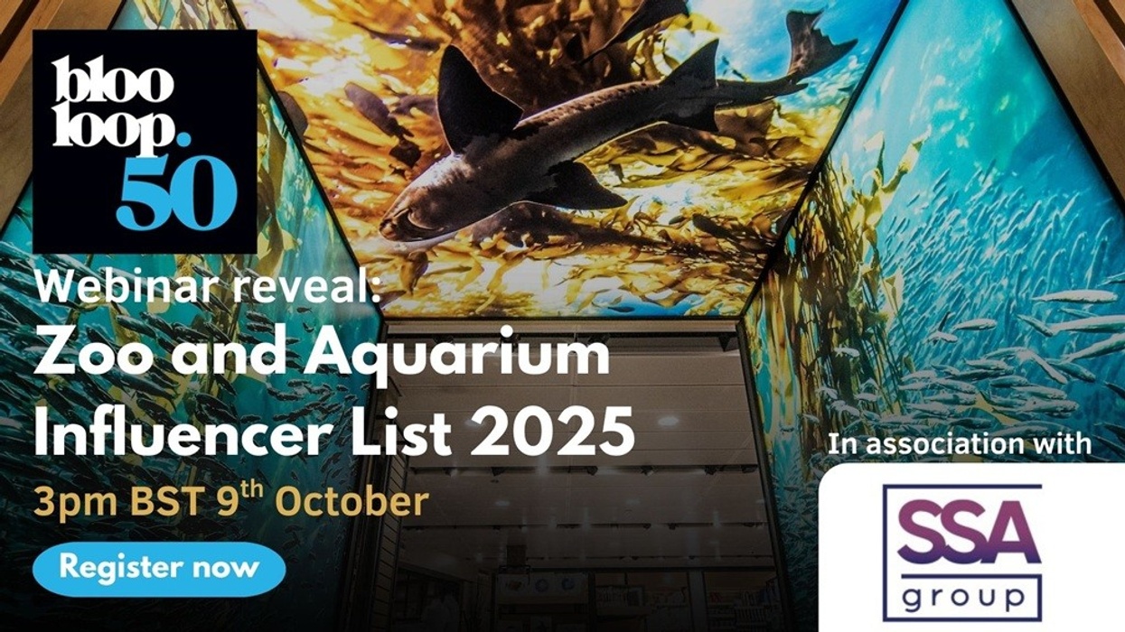 b50 zoo webinar reveal