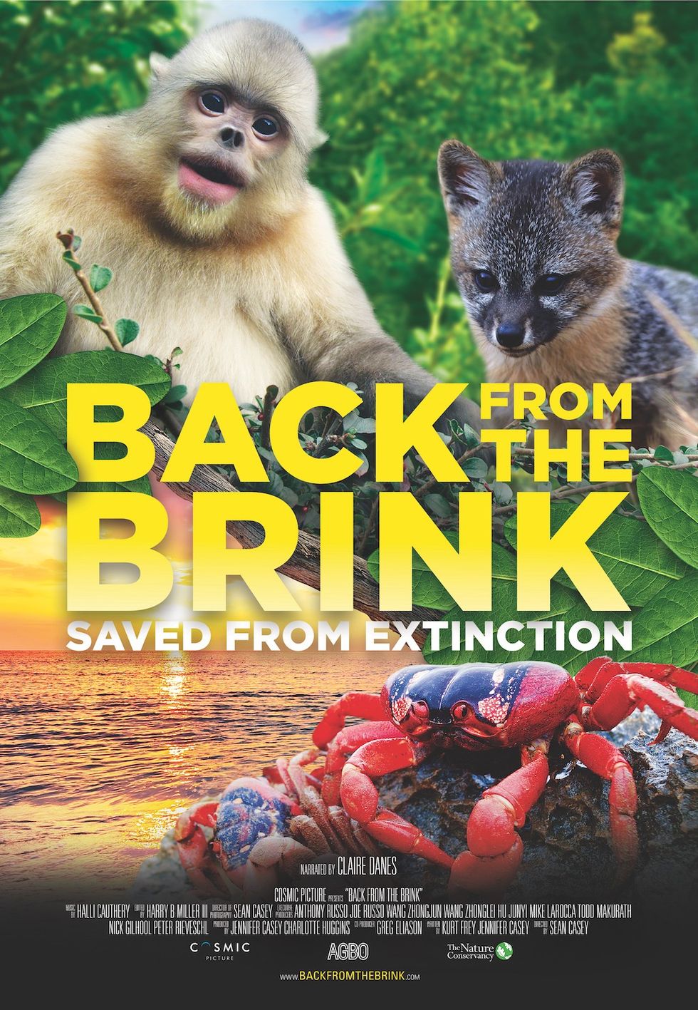 Back from the Brink_film poster
