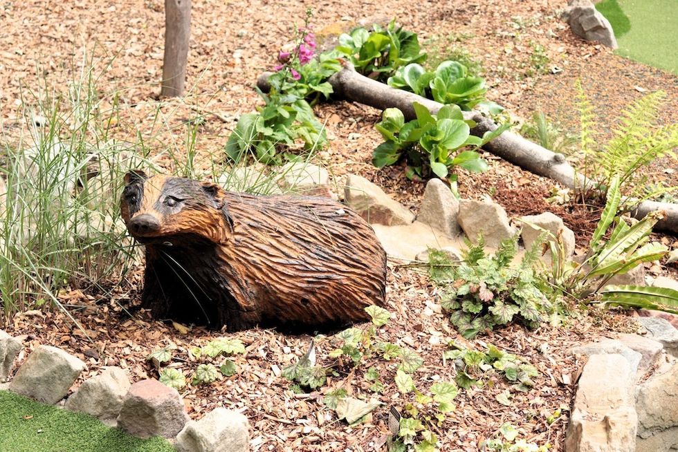 Badger Iron Pitt Woods