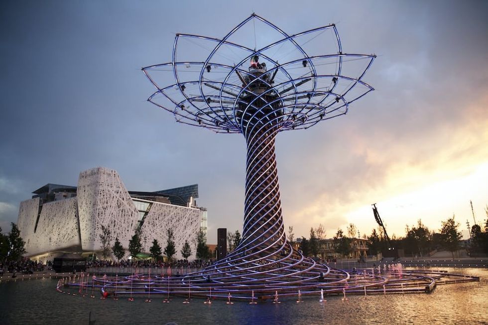 Balich Wonder Studio TREE of LIFE 2015