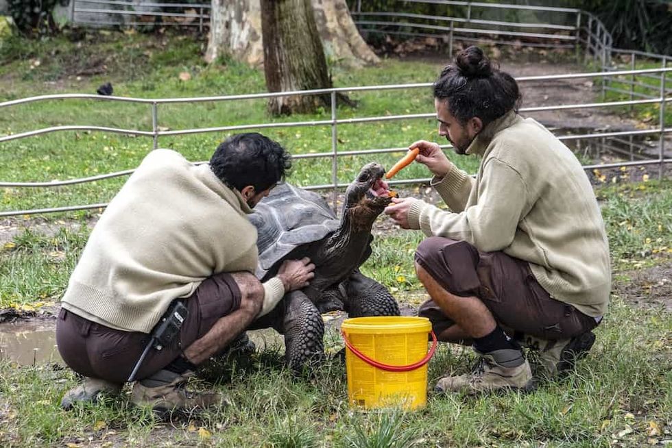 Barcelona Zoo animalist