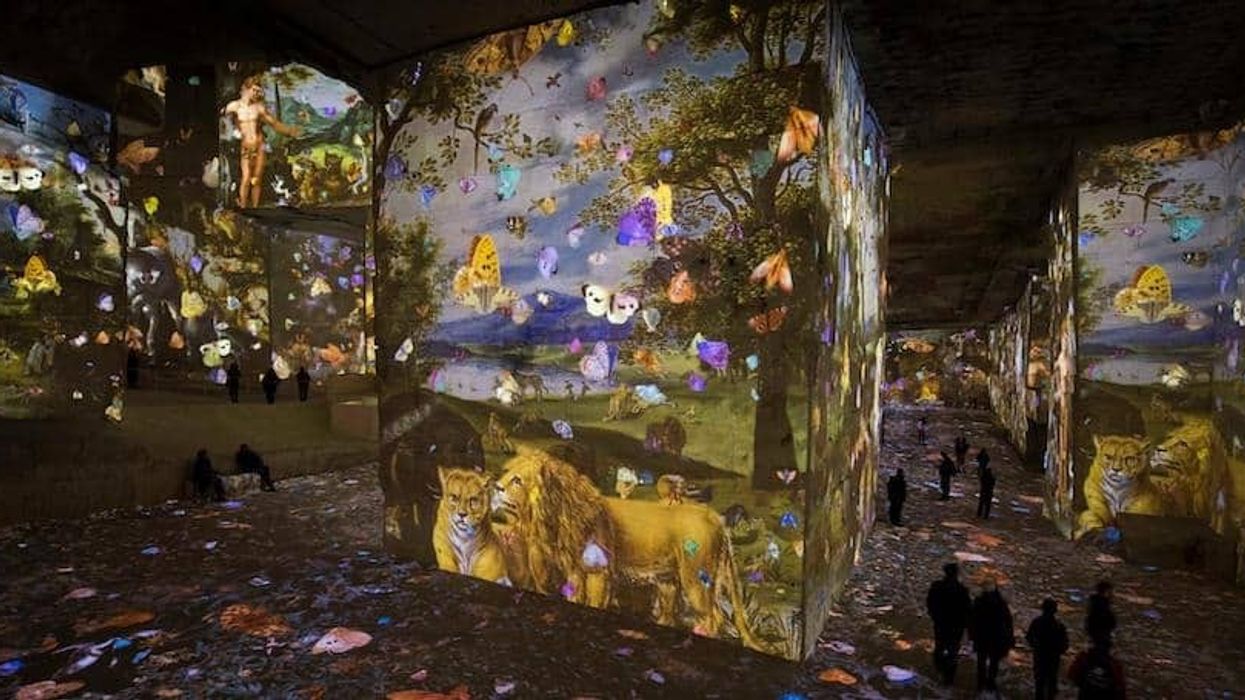 Barco diversify museum audiences