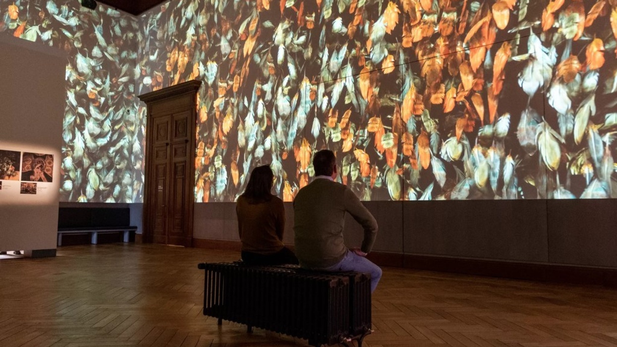 Barco KMSKA immersive art