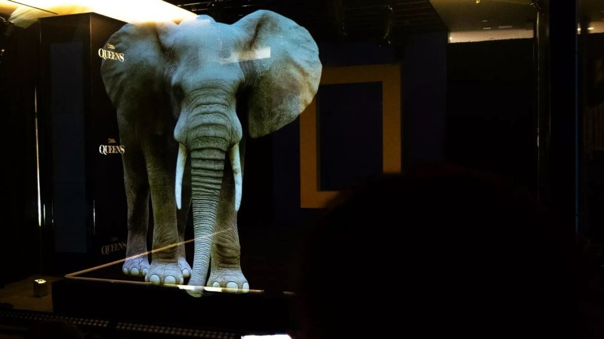 Barco powers NYFW holographic experience