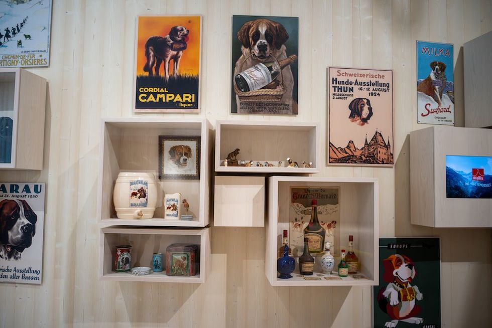 Barryland (c) Kévin Fasolato