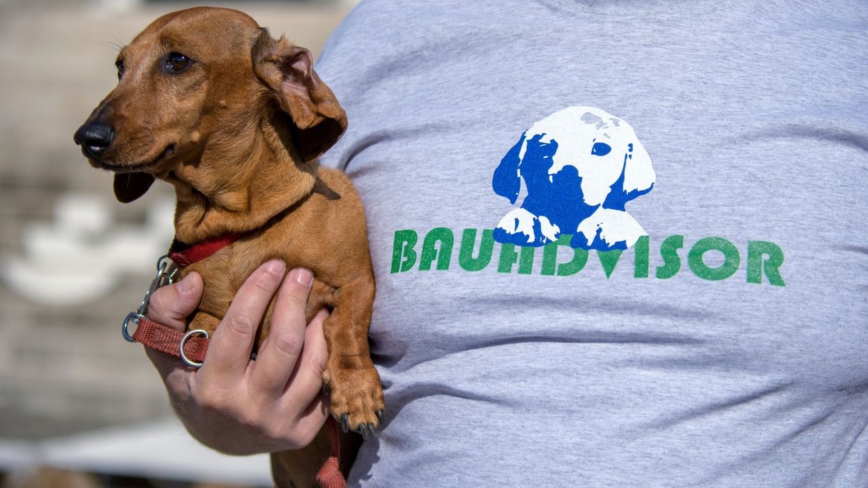 bauadvisor