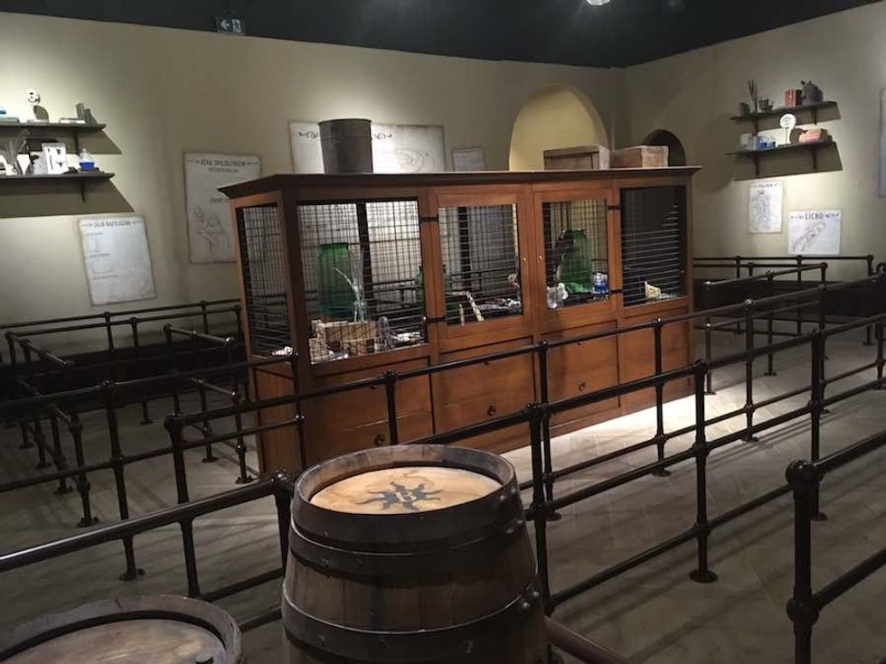 bazyliszek queue line legendia