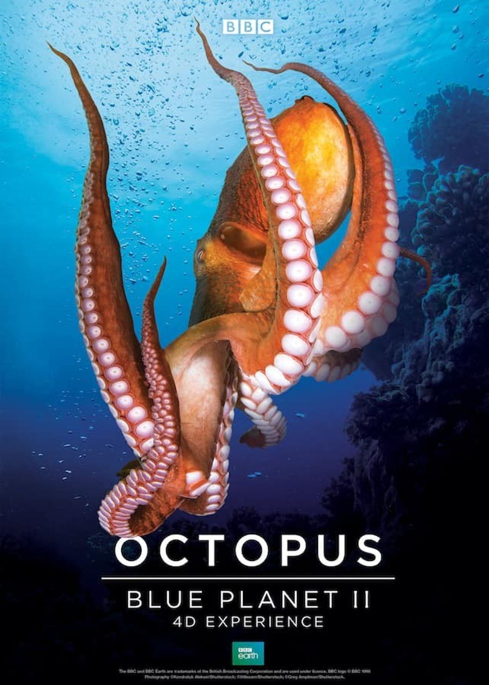 BBC Earth Blue Planet Octopus Poster