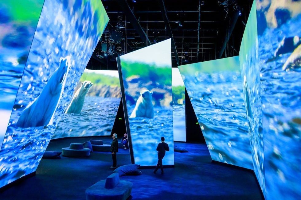 BBC Earth Experience Panasonic experiential entertainment